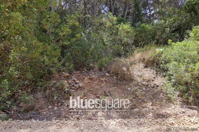 1000m2 building plot in Balcon al mar..