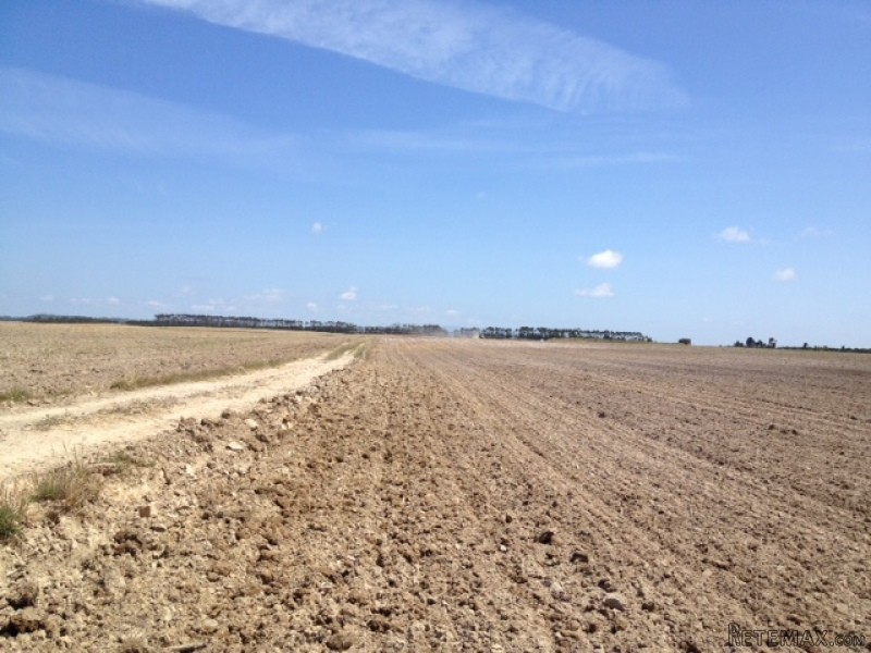 Farm S. Teotonio - Odemira