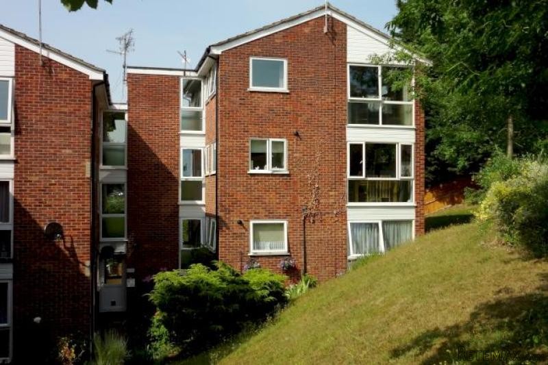 2 bed flat to rent