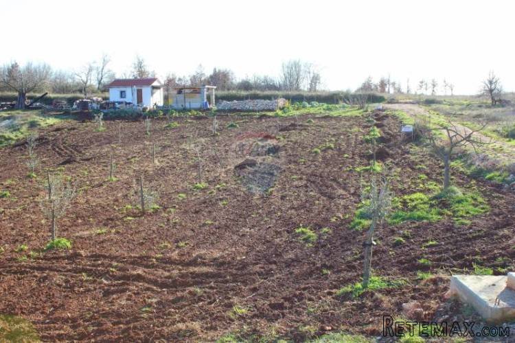 LABINCI-poljoprivredno zemljište sa gospodarskom kućicom - 4