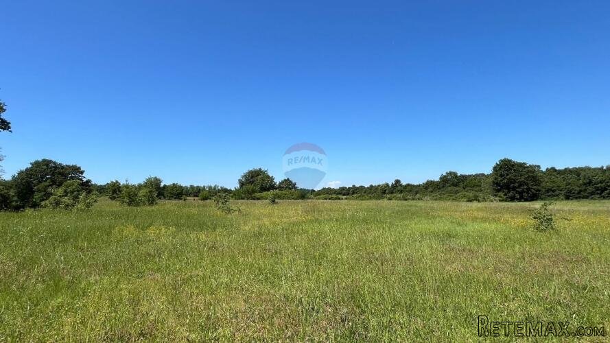 Gradina - okolica, poljoprivredno zemljište ukupne kvadratur - 2