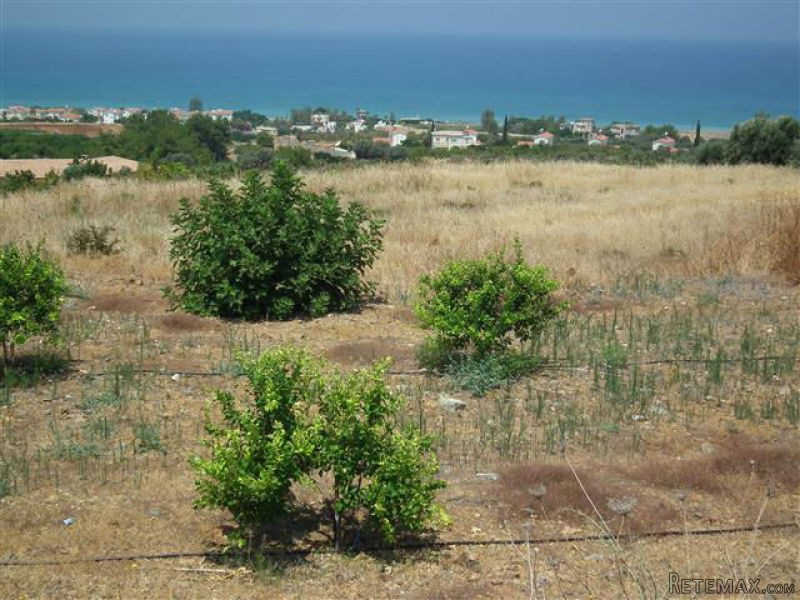 Land - Paphos - For Sale