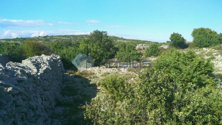 Cres, Grmov zemljište 9.750 m2 - 6