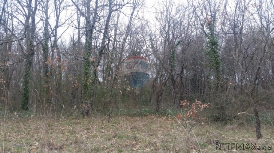 POLJOPRIVREDNO ZEMLJIŠTE U BLIZINI BARBANA!