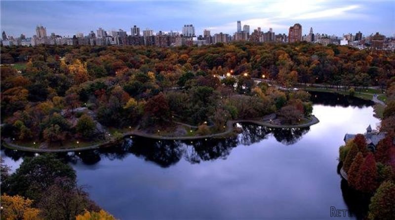 1 Bedroom - Condo - New York State -..