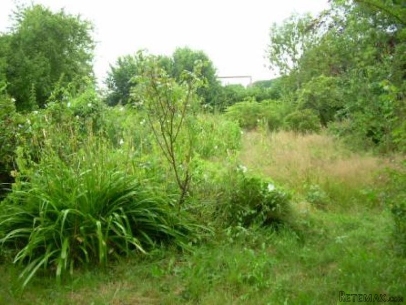 Habitable House with Huge Potential - 2