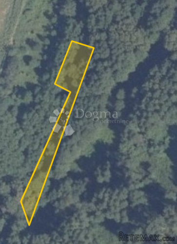 Šume na prodaju - 2