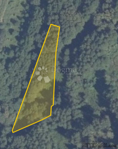 Šume na prodaju - 3