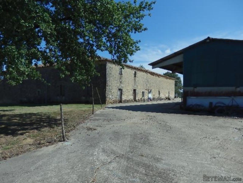 Vineyard For Sale - 2