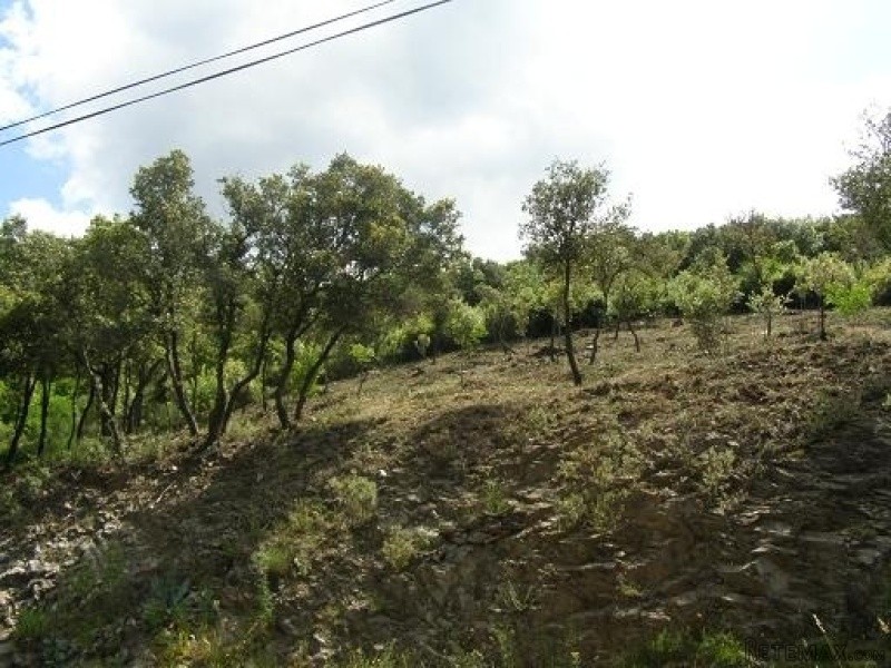 Land - Languedoc-Roussillon - For Sale - 2