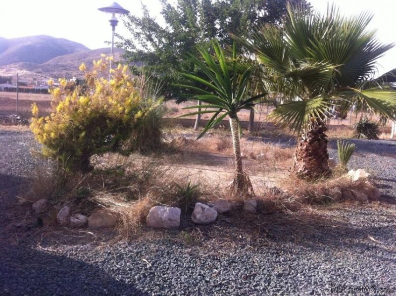 Villa in Hondon de los Frailes (Ref... - 2