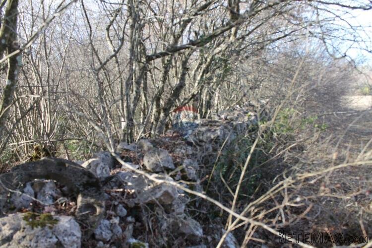 Rovinj, Rovinjsko Selo, veoma lijepa kampanja na Frati - 3