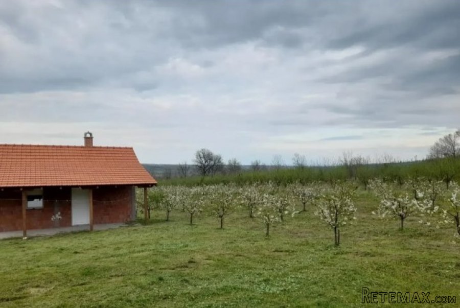Vikendica na prodaju Sume-Topola - 13
