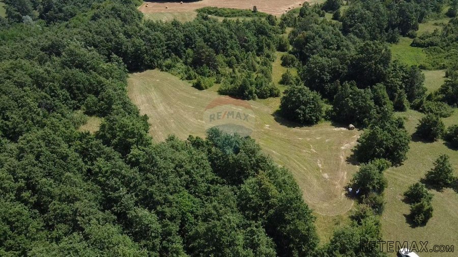 Istra, Žminj okolica, poljoprivredno zemljište - 4