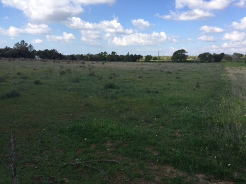 Plot Of Land Of 15,000 M2 - 2