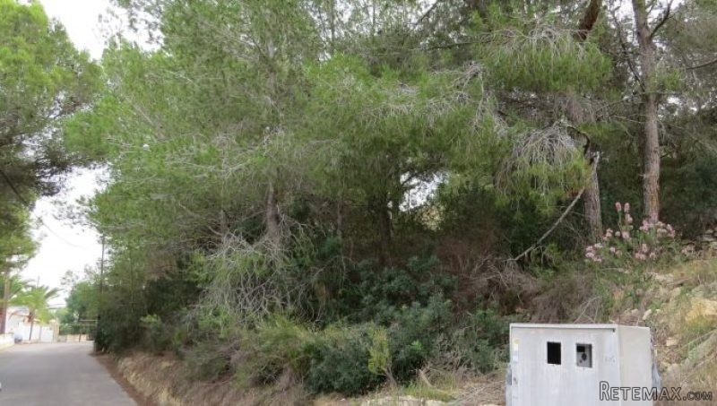 0 Bedroom 0 Bathroom Plot for sale in.. - 2