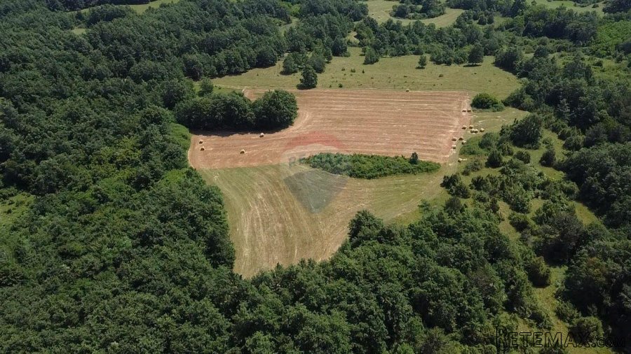 Istra, Žminj okolica, poljoprivredno zemljište - 5