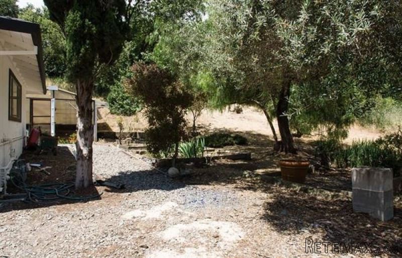 privacy and serenity in in los altos.. - 2