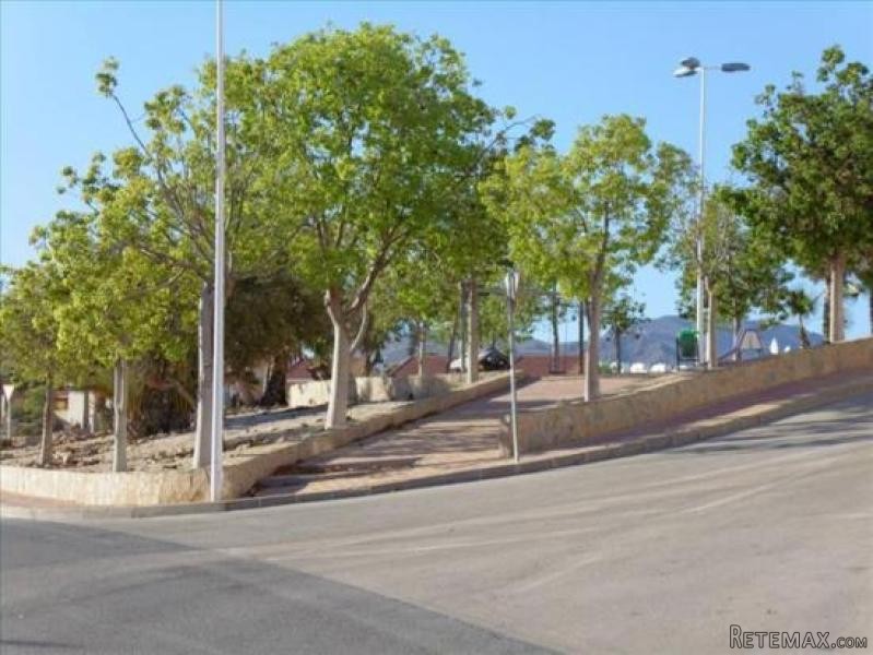 3 Bedrooms - Apartment - Murcia - For..