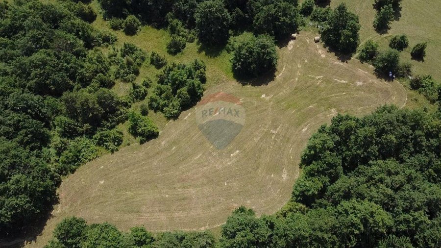 Istra, Žminj okolica, poljoprivredno zemljište - 7