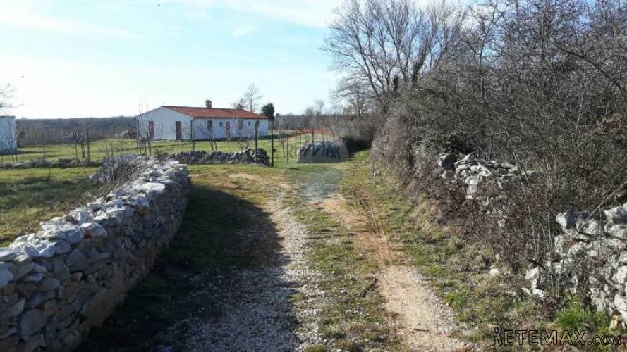 ISTRA, BARBAN : GRAĐEVINSKI TEREN 1165 m2 U ORIHIMA - 4