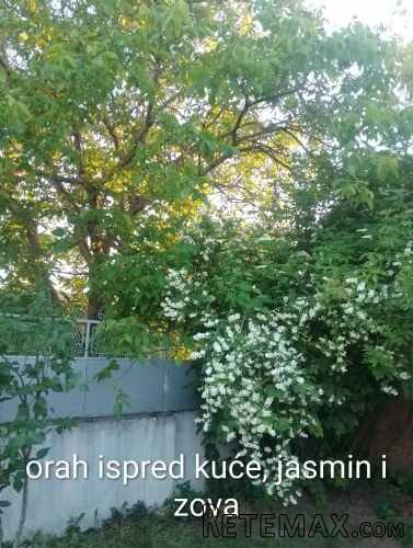 Prodajem kucu u Banatskoj Dubici - 23