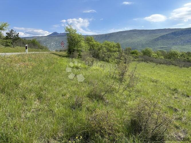 Veliko poljoprivredno zemljište - 5