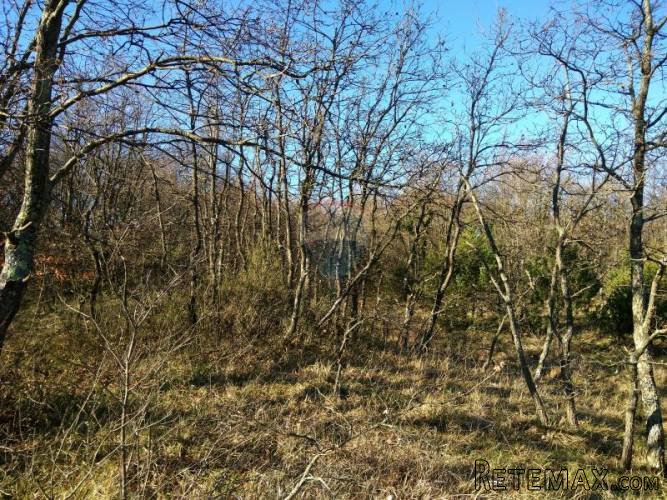 Istra, Vodnjan, Sv.Kirin- poljoprivredno zemljište 21027m2 - 3