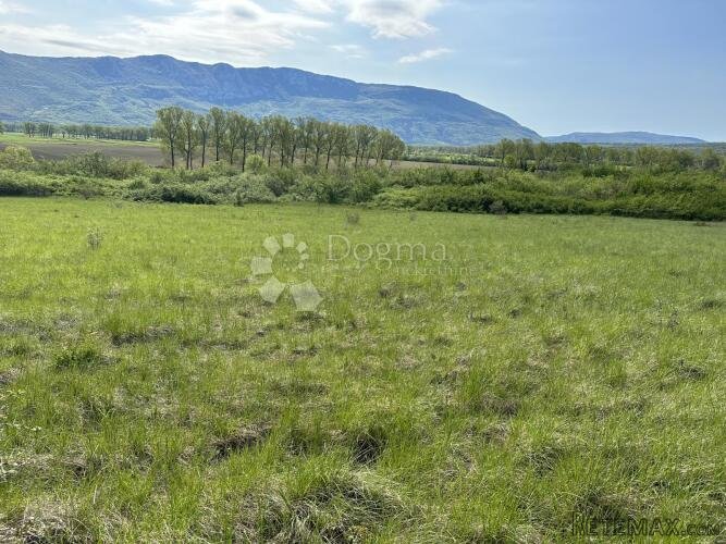 Veliko poljoprivredno zemljište - 6