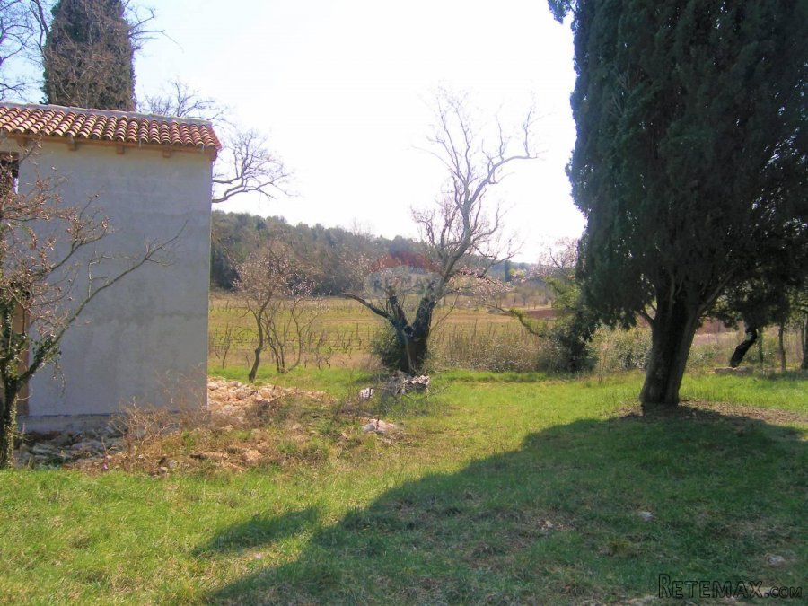 Rovinj,unikatna stancija na 14 300m2 okućnice - 4