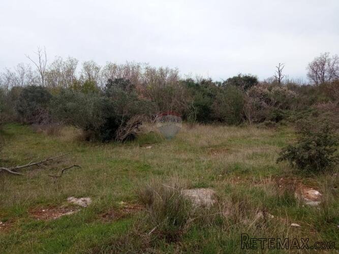 Istra, Vodnjan poljoprivredno zemljište 5463m2