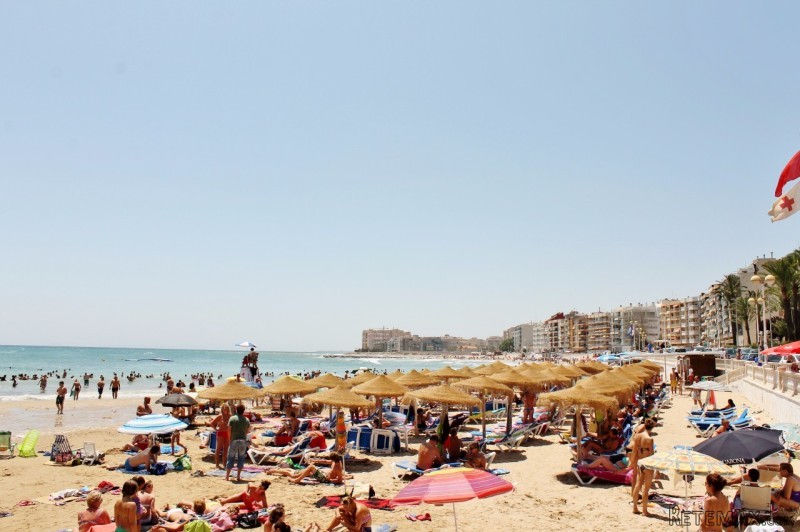 1 Bedroom - Apartment - Costa Blanca..