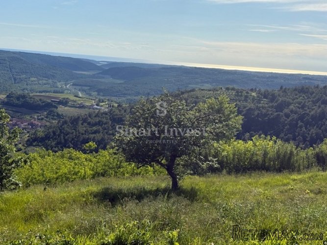 ISTRA - ZAVRŠJE, prekrasan teren od 3497 m2, sa idejnim.. - 2