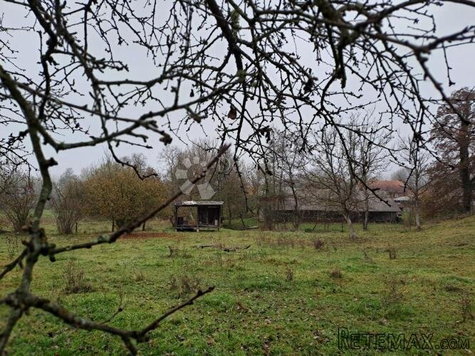 Uživancija za konjiće, kravice ili ljude - 2