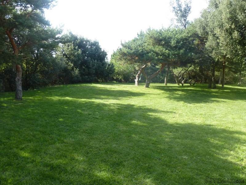Well Renovated Villa With Apartment.. - 2
