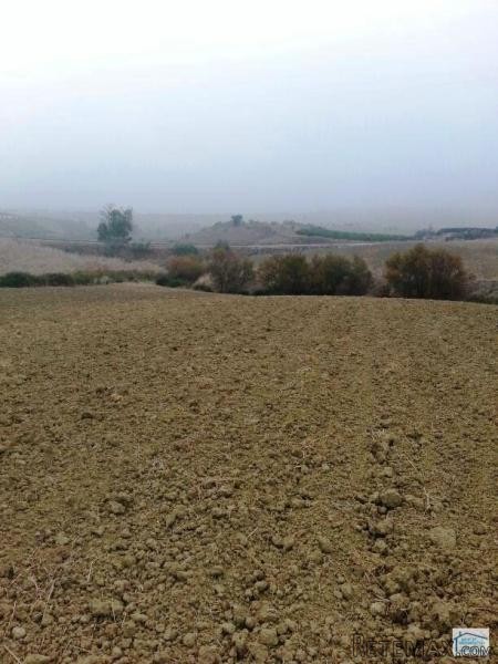 Plot for sale in Alhaurin de la Torre.. - 2