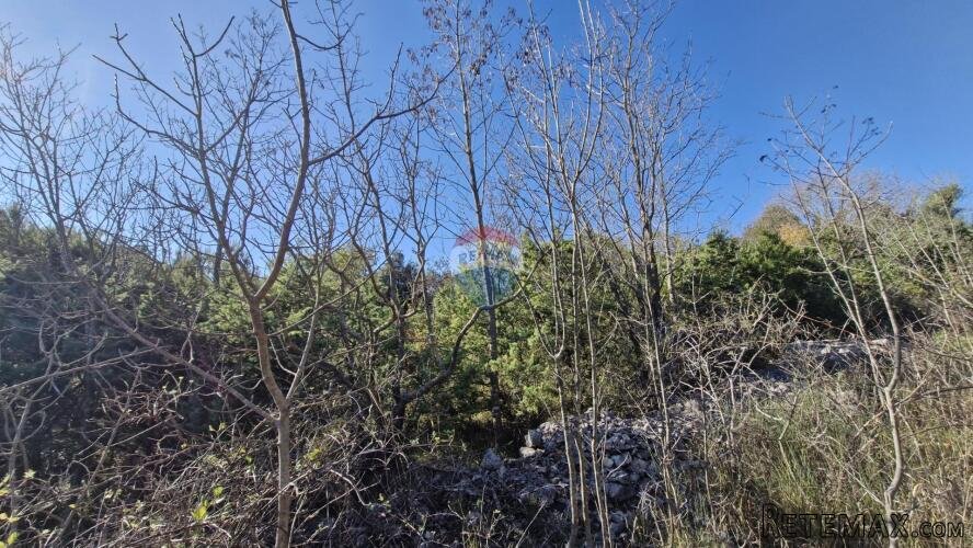 Istra, Rakalj- poljoprivredno zemljište 5523 m2 - 2