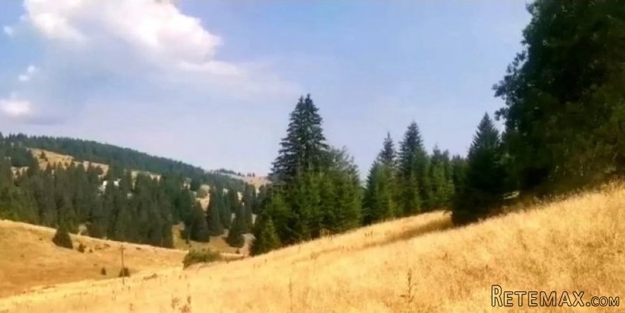 Placevi na Kopaoniku - 3