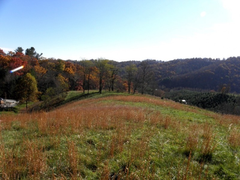 Unique VA Mountain Retreat or Farm - 2