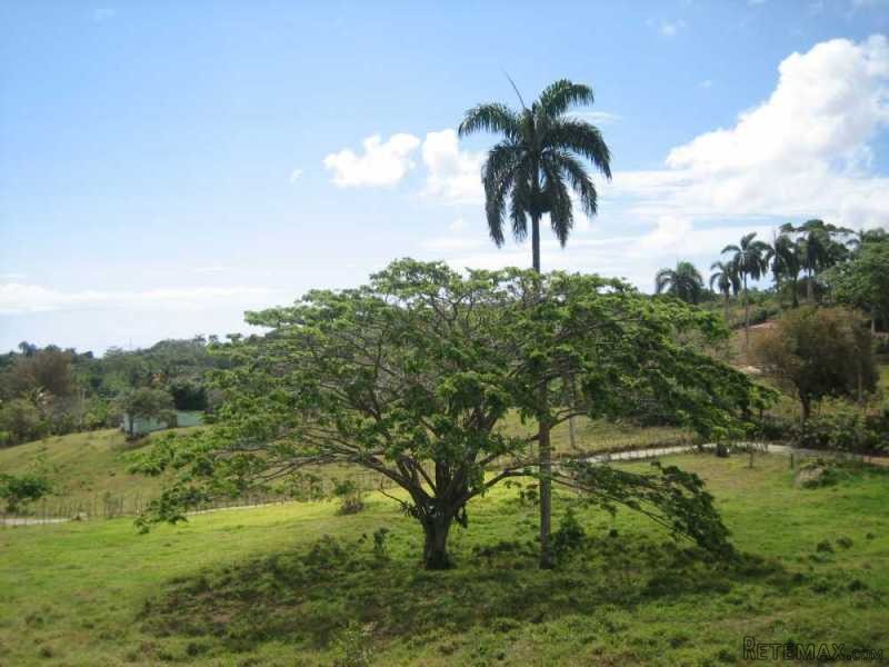 Unique Lot Overlooking The Sea Close To.. - 2