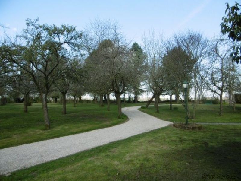 Countryside House, Ideal Holiday Home - 2
