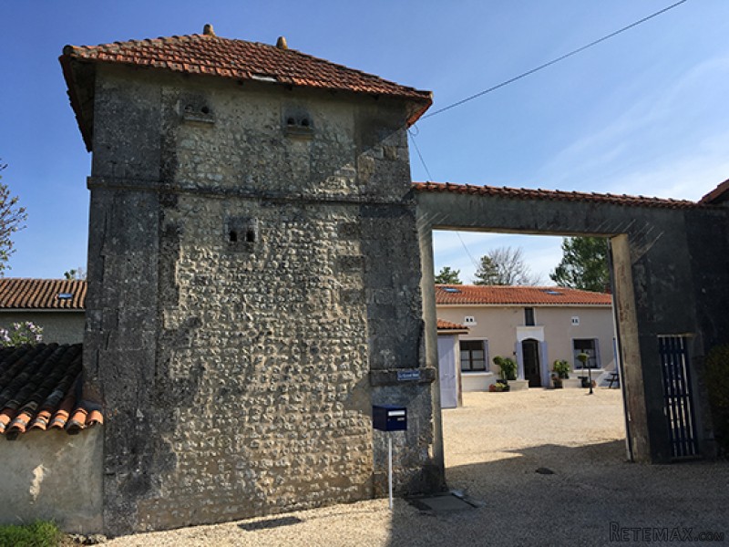 Former Cognac Estate With 2 Gites And.. - 2