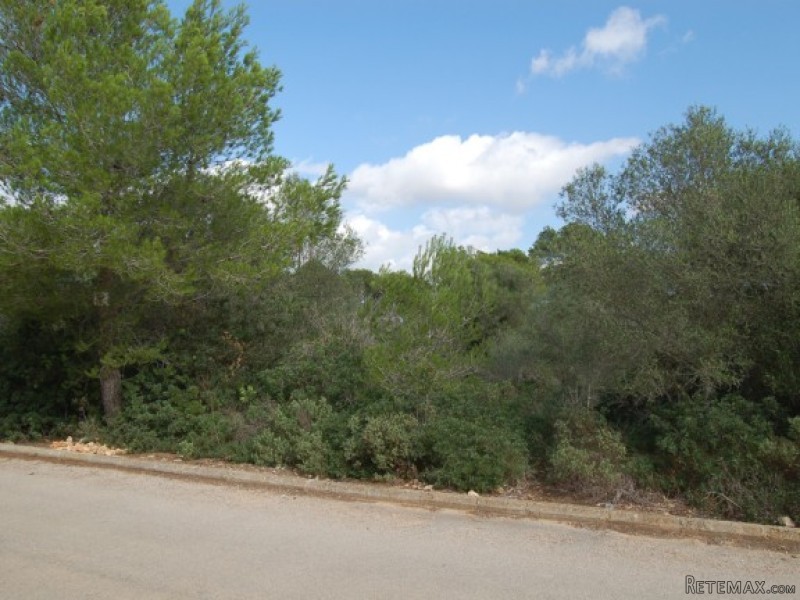 Building Plot In Peaceful Location In..