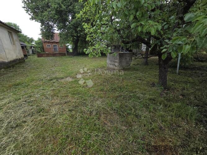 Zvonimirovac – kuća s velikom parcelom i vinogradom - 3