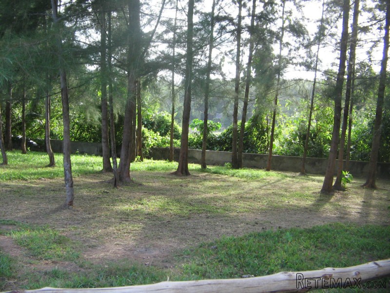 4 Rai Flat Land in Layan - Great Value! - 2