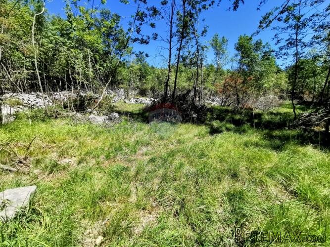 LIpa, poljoprivredno-šumsko zemljište površine 3298m2 - 4