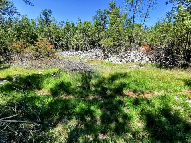 LIpa, poljoprivredno-šumsko zemljište površine 3298m2 - 5