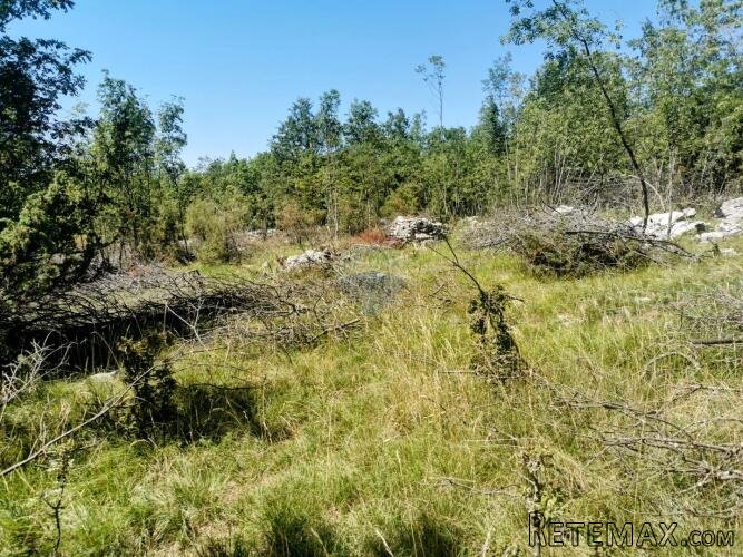 LIpa, poljoprivredno-šumsko zemljište površine 3298m2 - 7