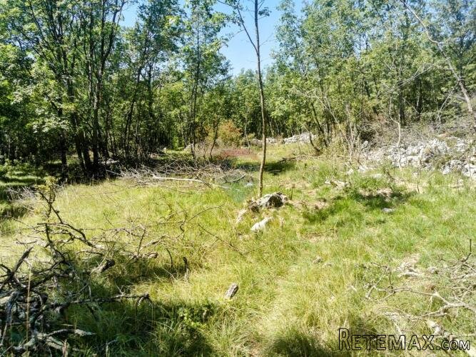LIpa, poljoprivredno-šumsko zemljište površine 3298m2 - 8