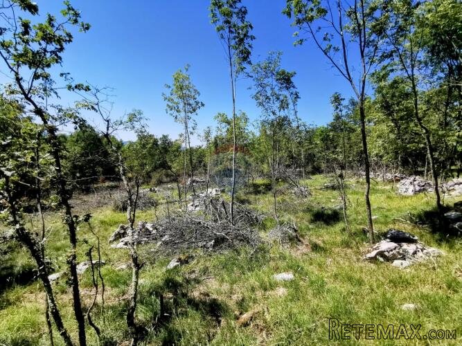 LIpa, poljoprivredno-šumsko zemljište površine 3298m2 - 9